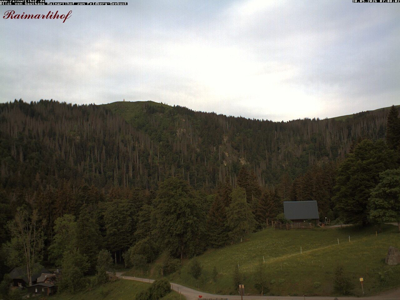 Archived image Webcam Raimartihof - Feldberg Seebuck