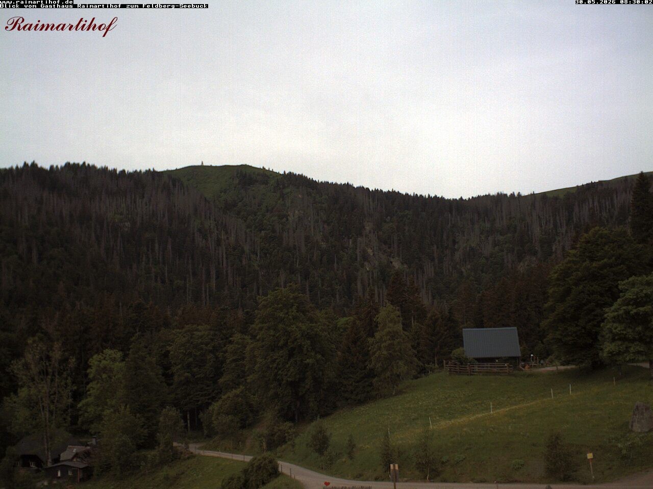 Archived image Webcam Raimartihof - Feldberg Seebuck
