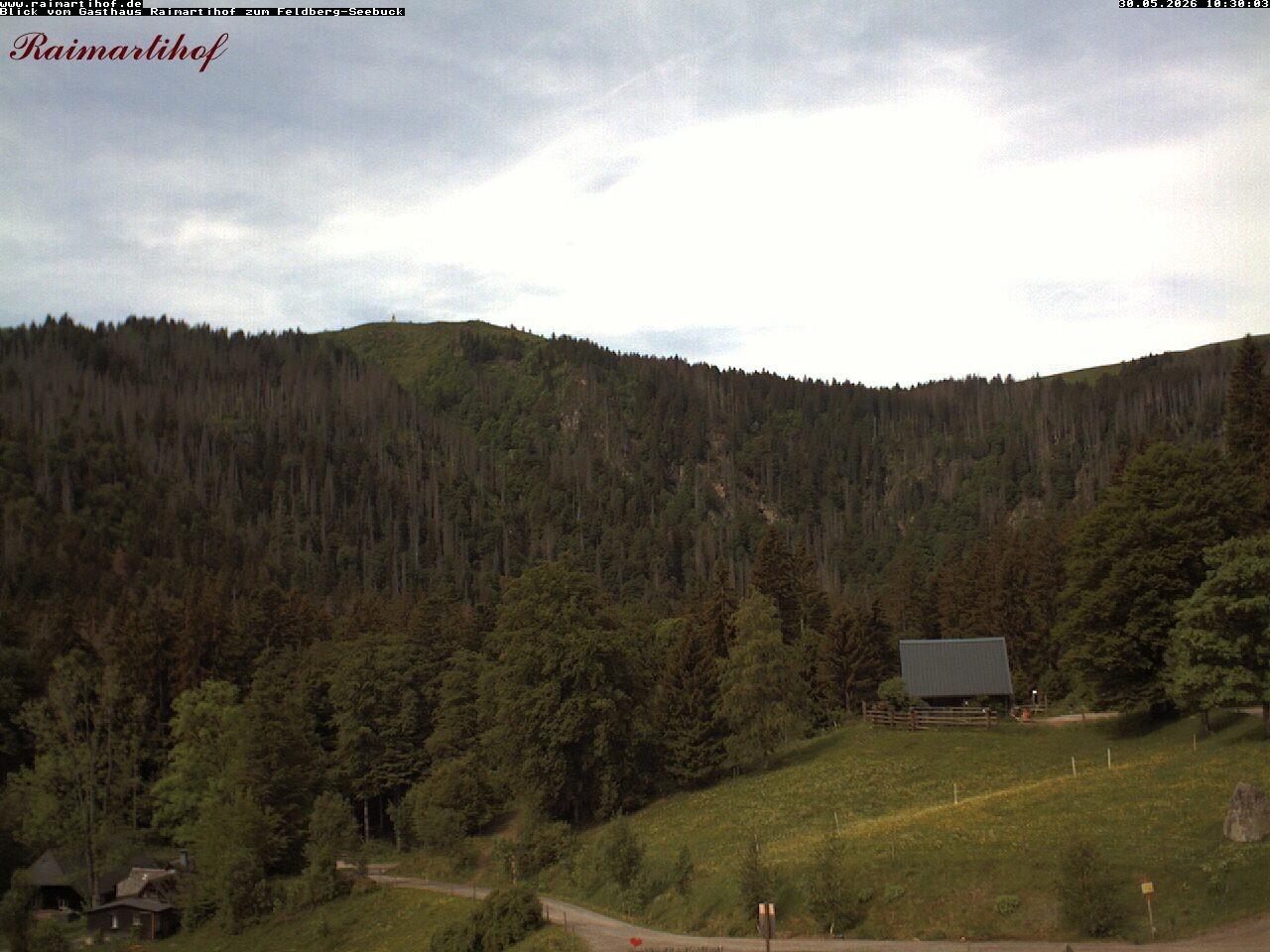 Archived image Webcam Raimartihof - Feldberg Seebuck