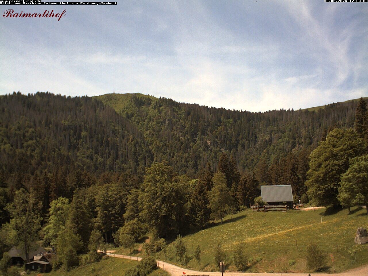 Archiv Foto Webcam Feldberg Raimartihof