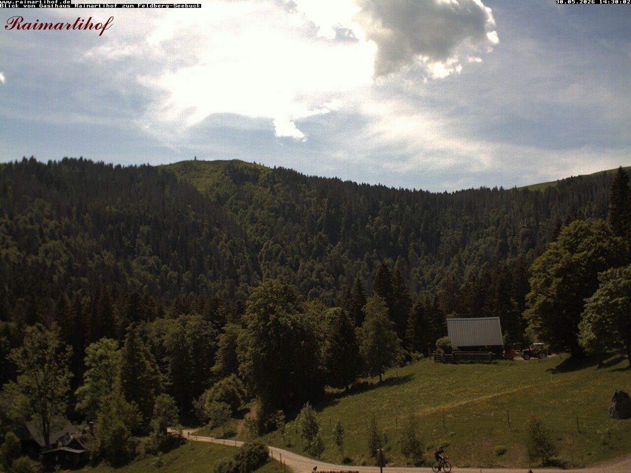 Archiv Foto Webcam Feldberg Raimartihof