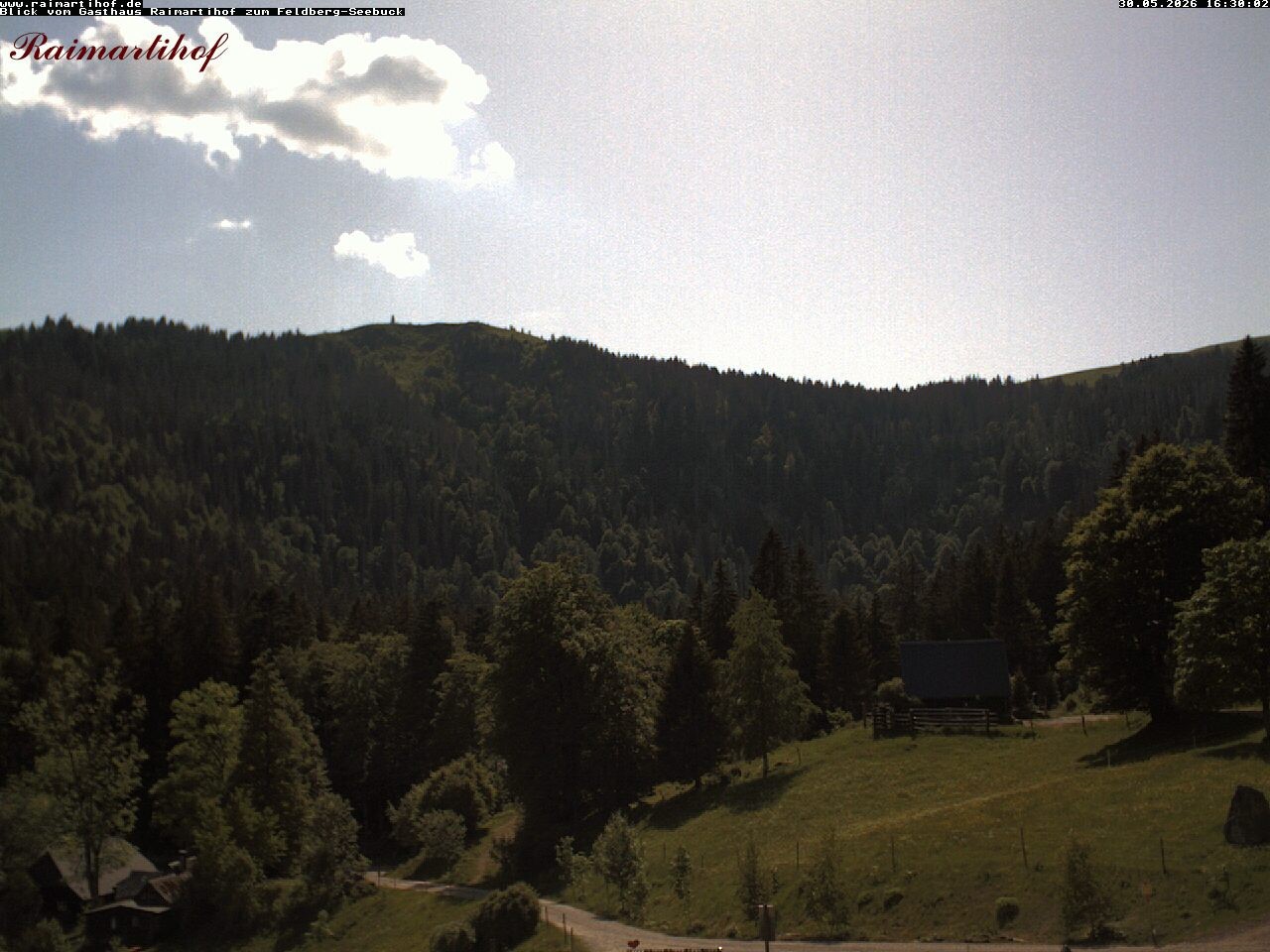 Archiv Foto Webcam Feldberg Raimartihof