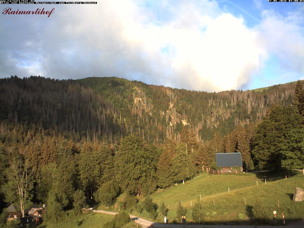 Archiv Foto Webcam Feldberg Raimartihof