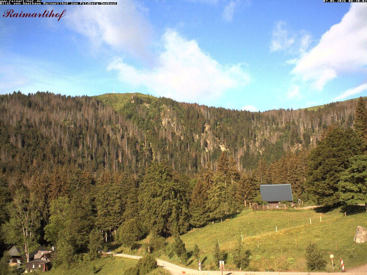 Archiv Foto Webcam Feldberg Raimartihof
