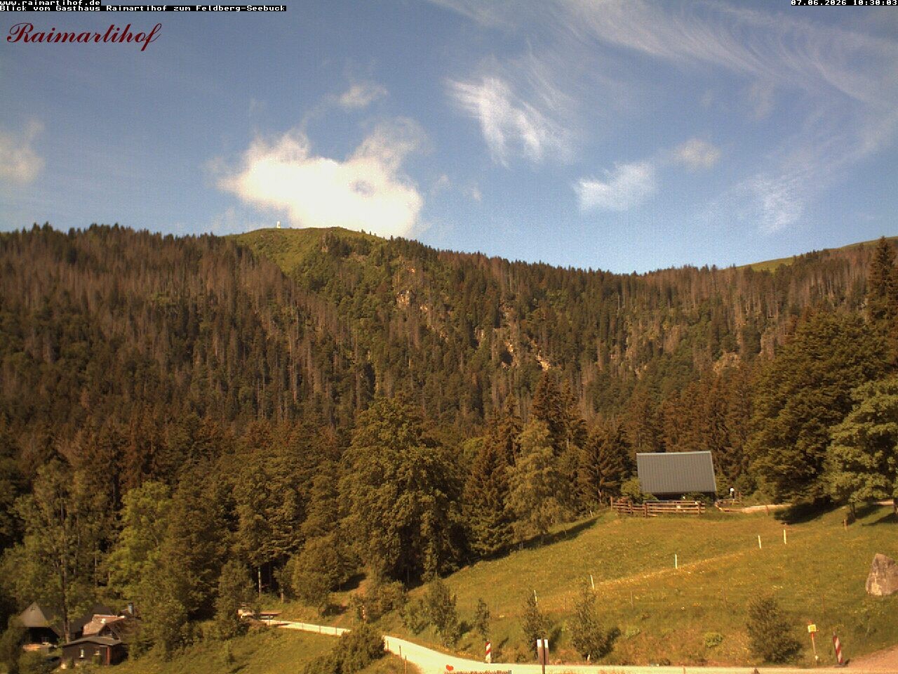 Archiv Foto Webcam Feldberg Raimartihof