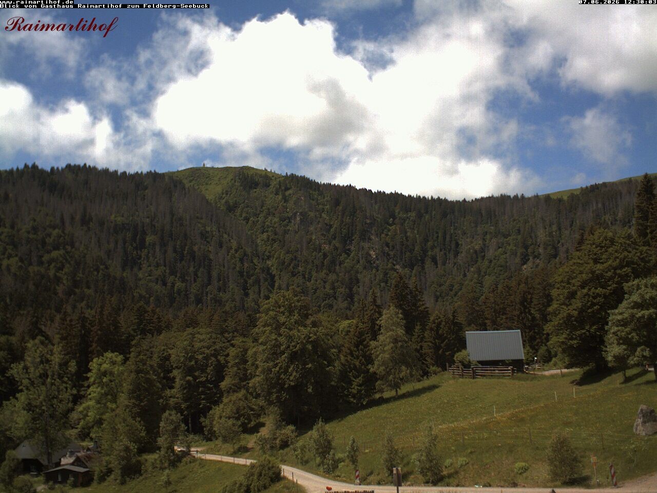 Archiv Foto Webcam Feldberg Raimartihof
