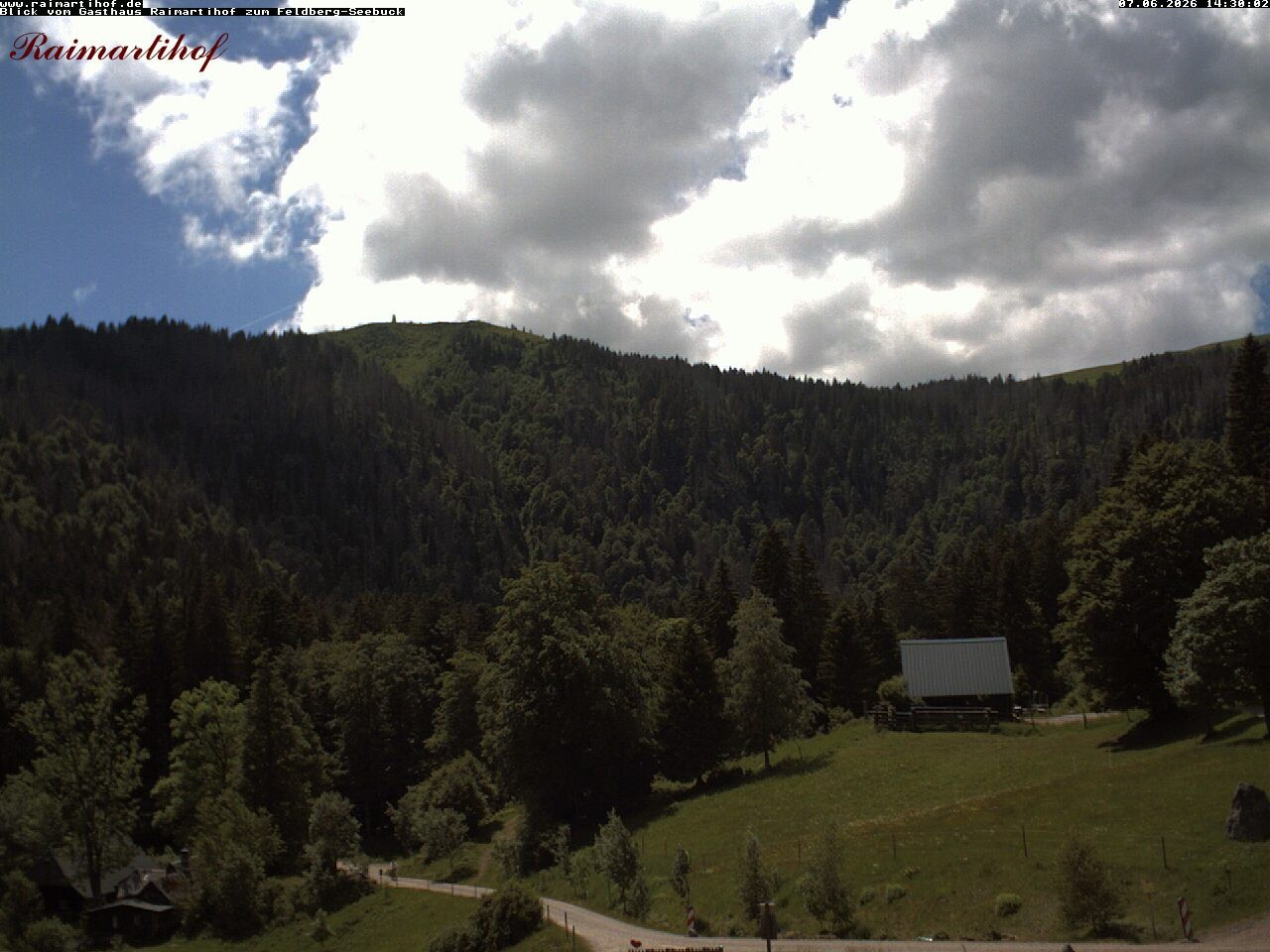 Archiv Foto Webcam Feldberg Raimartihof