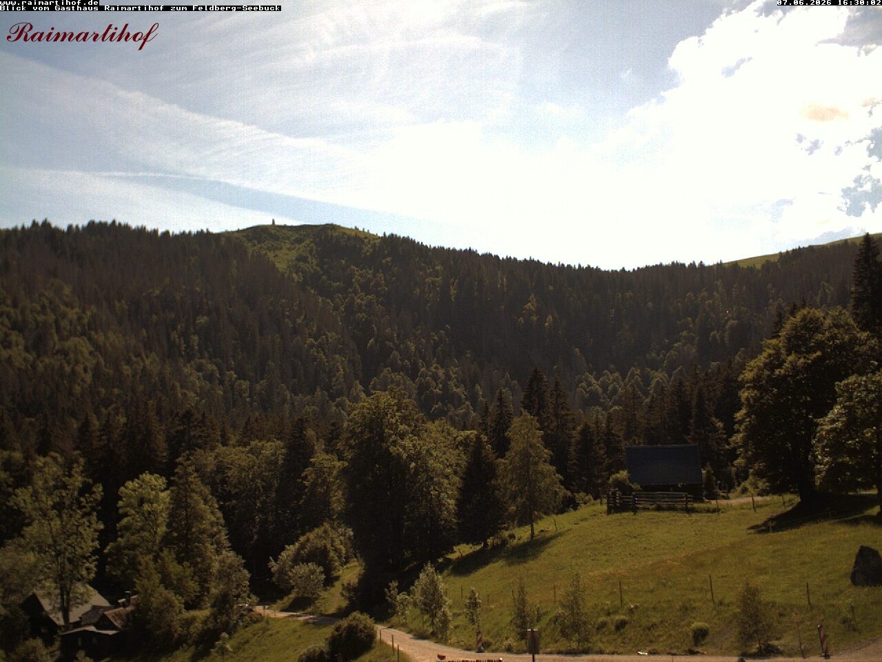 Archiv Foto Webcam Feldberg Raimartihof