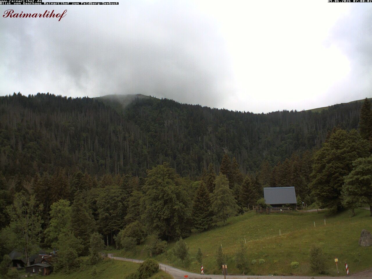 Archiv Foto Webcam Feldberg Raimartihof