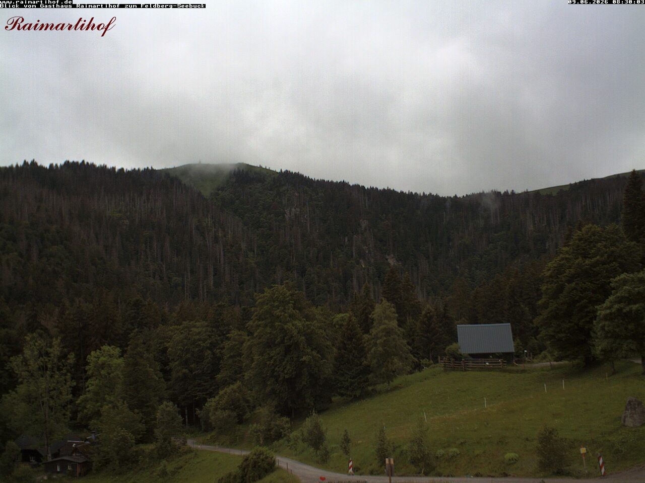 Archiv Foto Webcam Feldberg Raimartihof