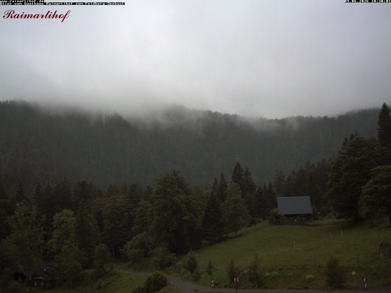 Archiv Foto Webcam Feldberg Raimartihof