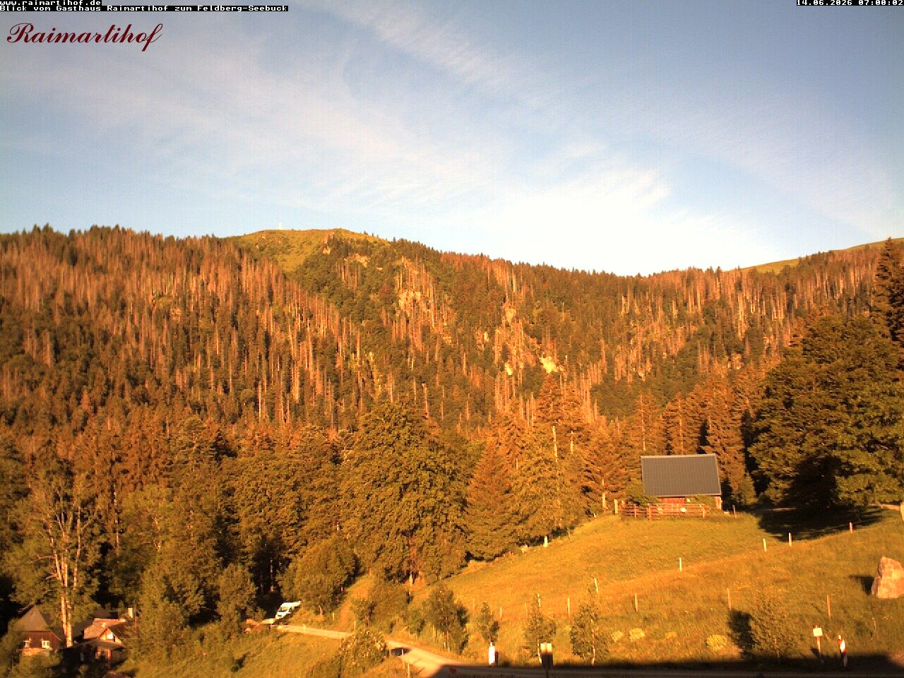Archiv Foto Webcam Feldberg Raimartihof