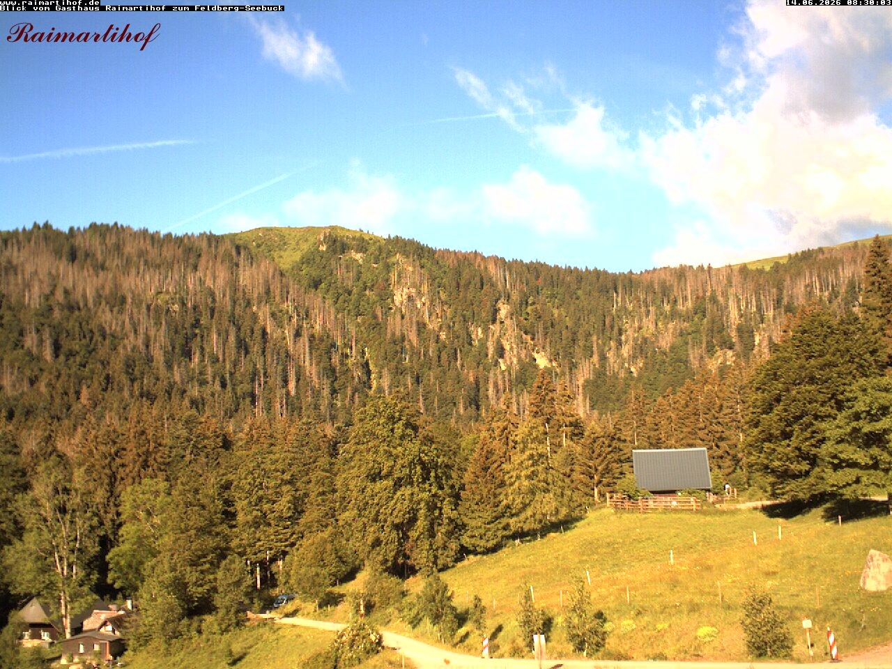 Archiv Foto Webcam Feldberg Raimartihof