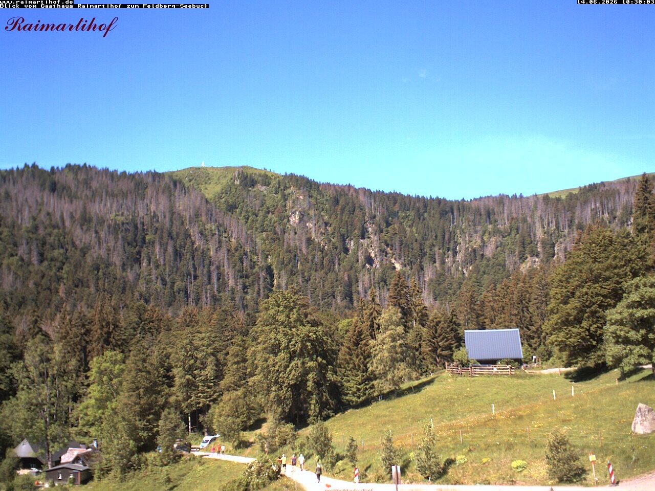 Archiv Foto Webcam Feldberg Raimartihof