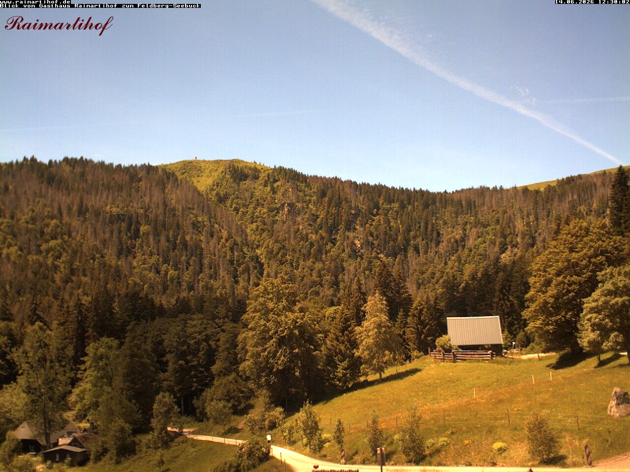 Archiv Foto Webcam Feldberg Raimartihof