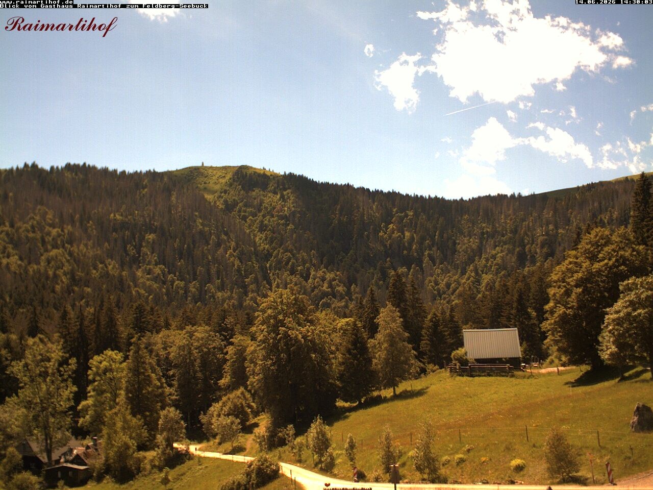 Archiv Foto Webcam Feldberg Raimartihof