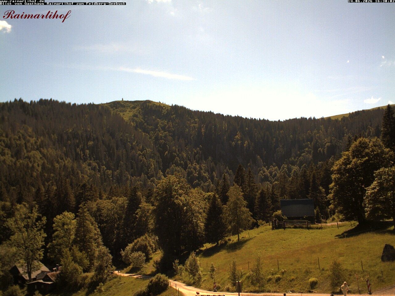 Archiv Foto Webcam Feldberg Raimartihof