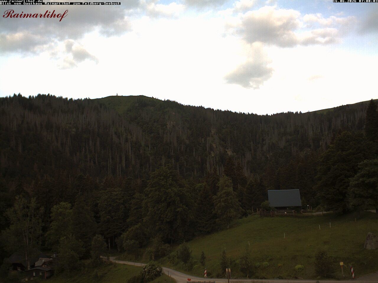 Archiv Foto Webcam Feldberg Raimartihof