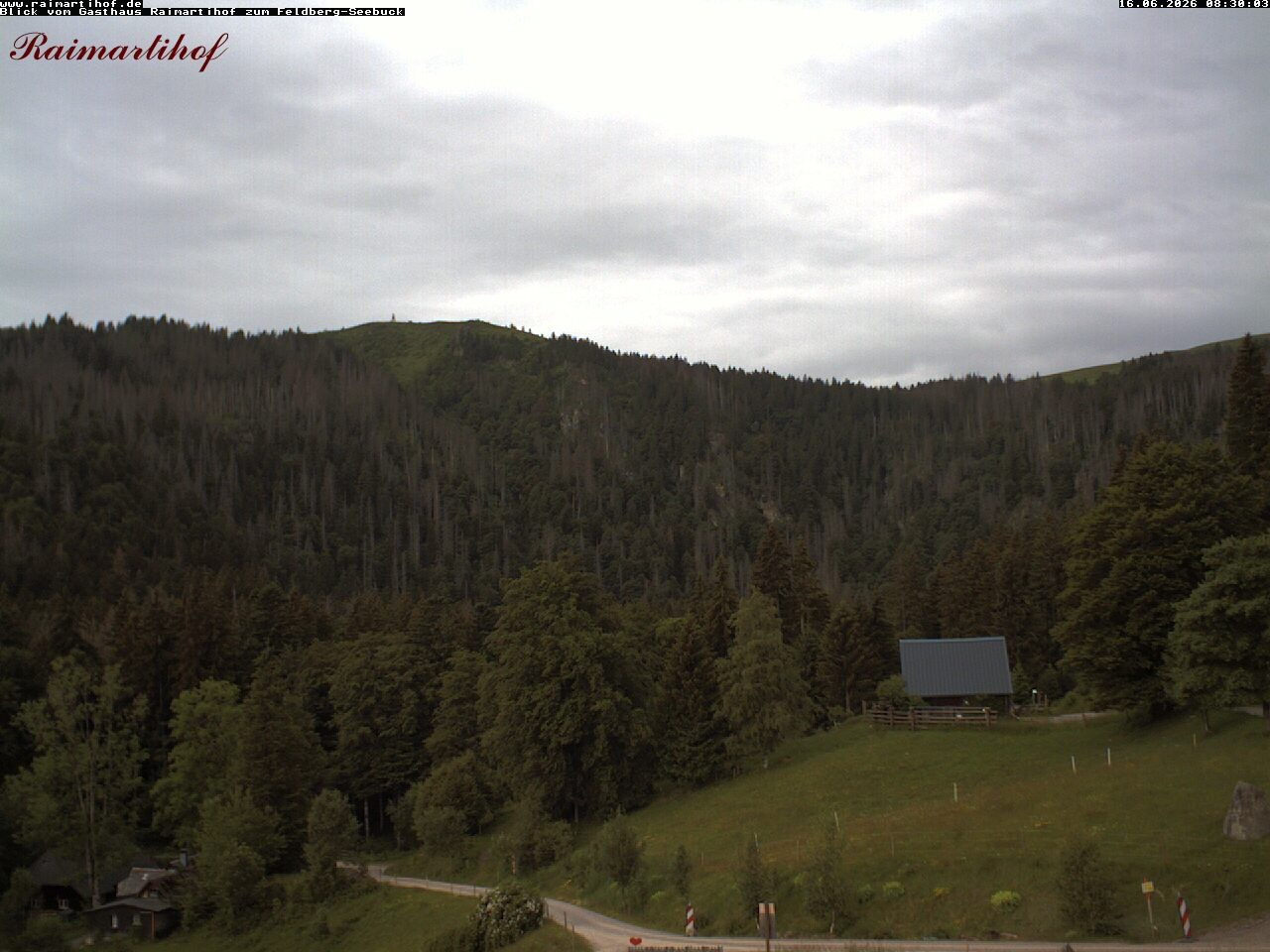 Archiv Foto Webcam Feldberg Raimartihof