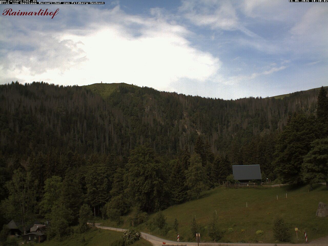 Archiv Foto Webcam Feldberg Raimartihof