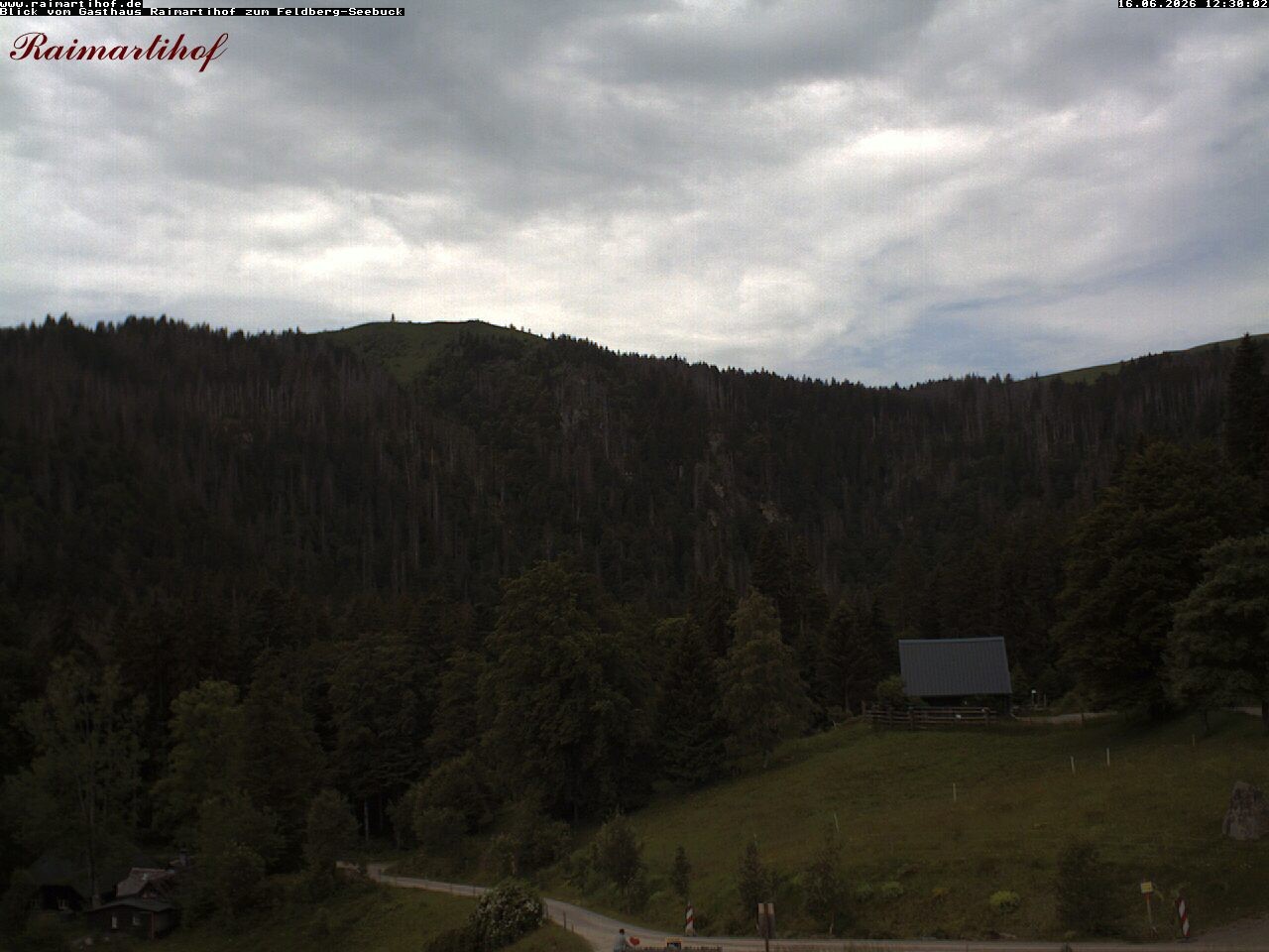 Archiv Foto Webcam Feldberg Raimartihof