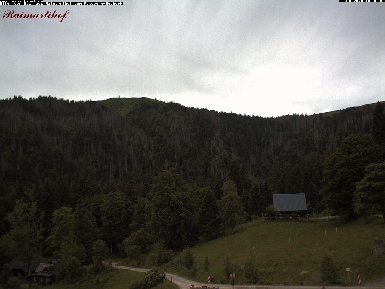 Archiv Foto Webcam Feldberg Raimartihof