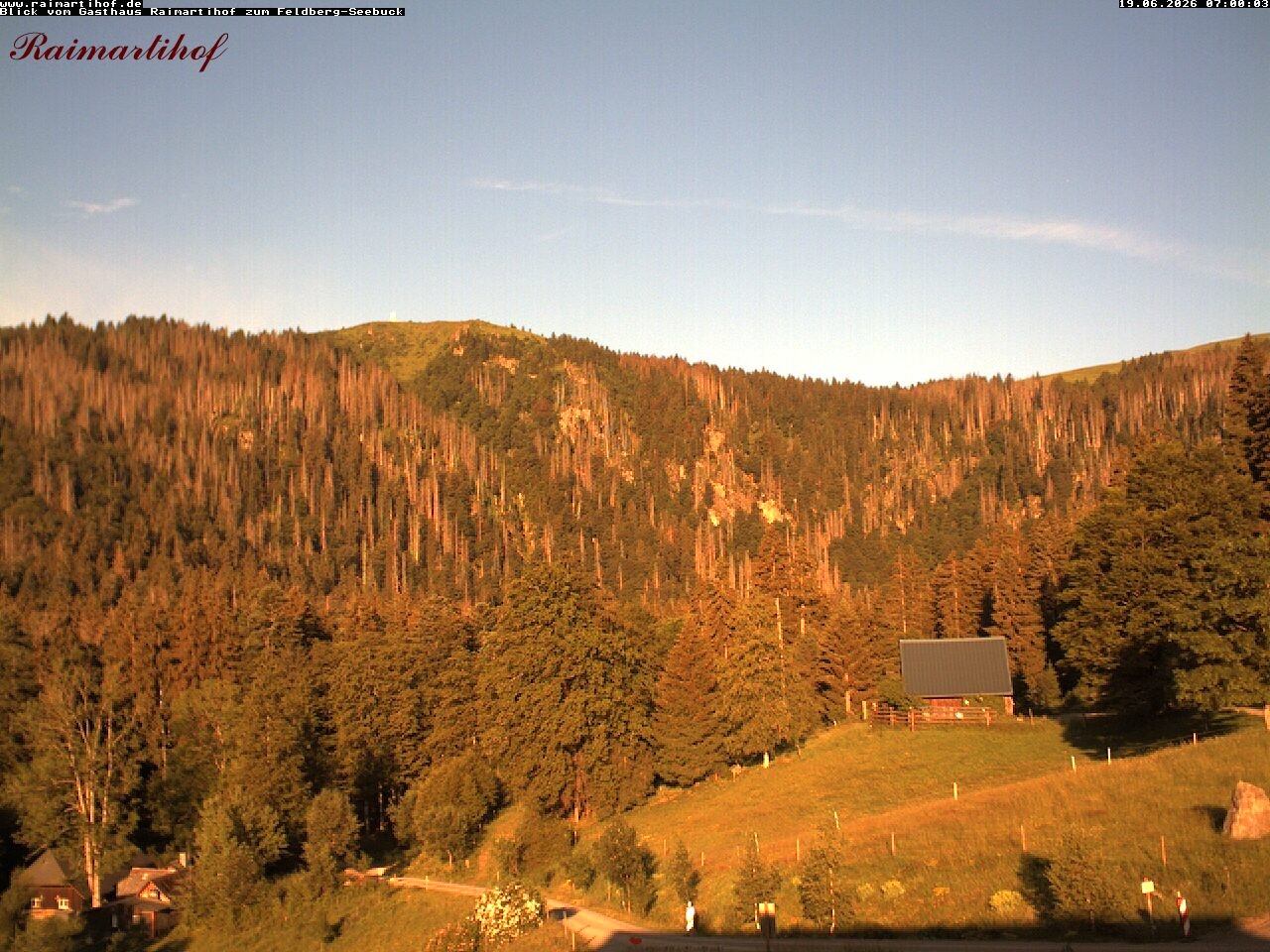 Archiv Foto Webcam Feldberg Raimartihof