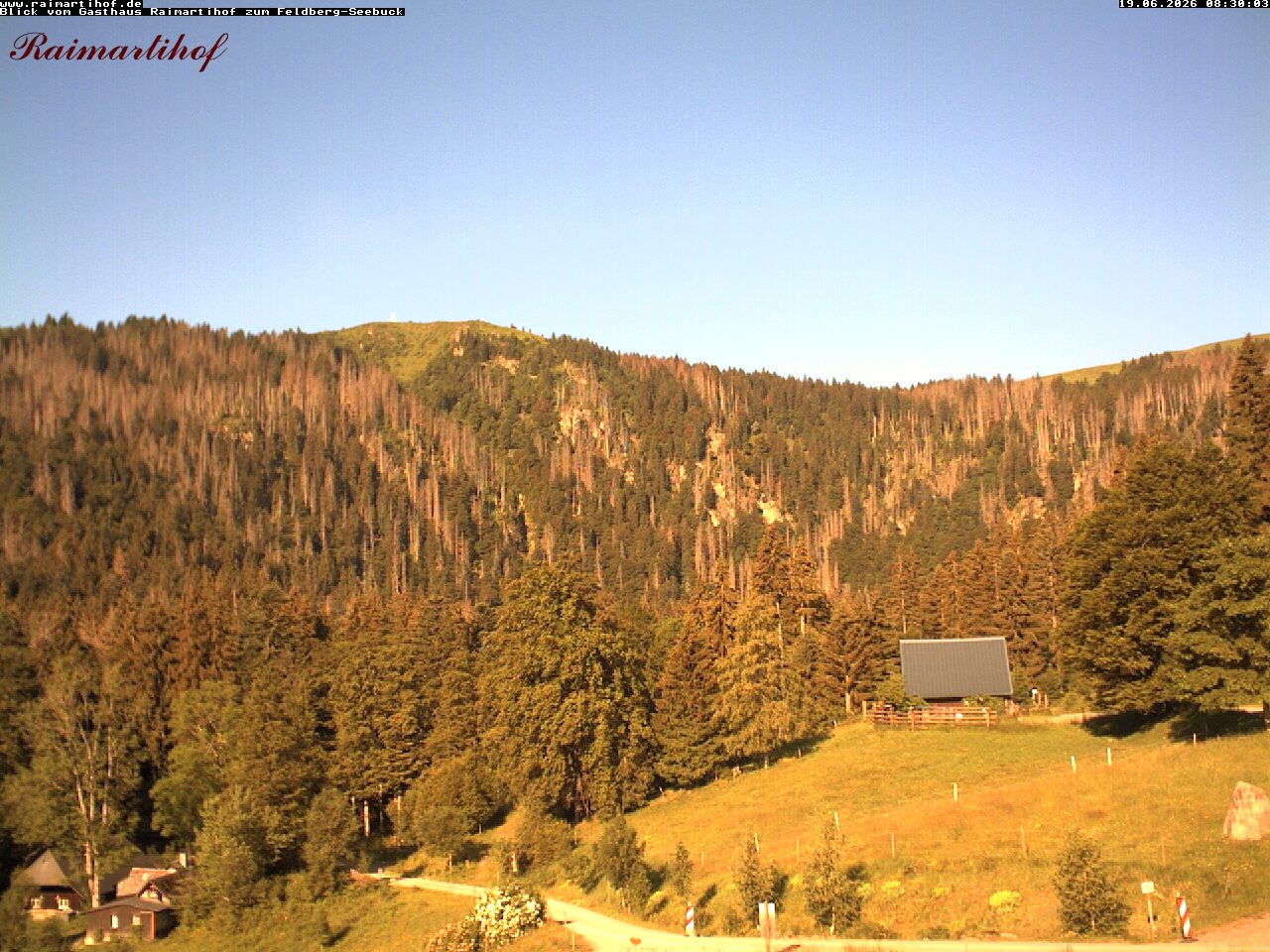 Archiv Foto Webcam Feldberg Raimartihof