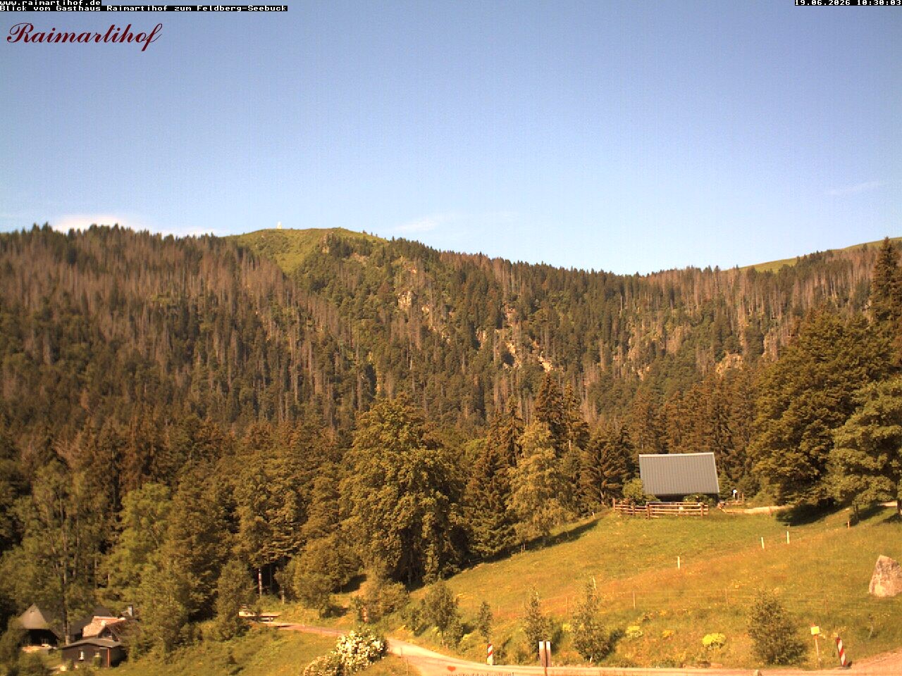 Archiv Foto Webcam Feldberg Raimartihof