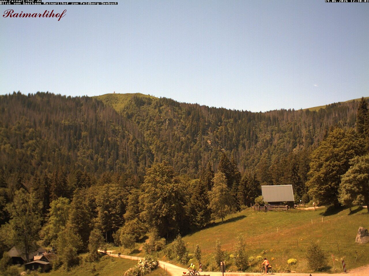 Archiv Foto Webcam Feldberg Raimartihof