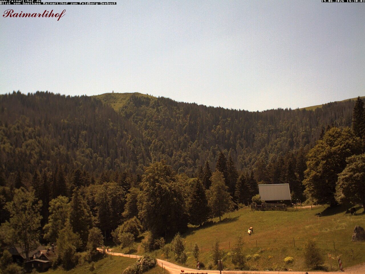 Archiv Foto Webcam Feldberg Raimartihof