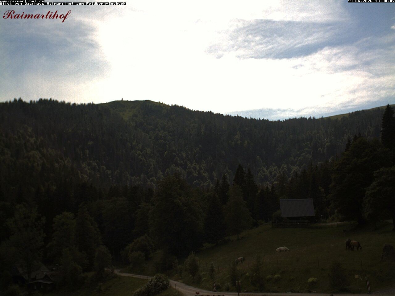 Archiv Foto Webcam Feldberg Raimartihof