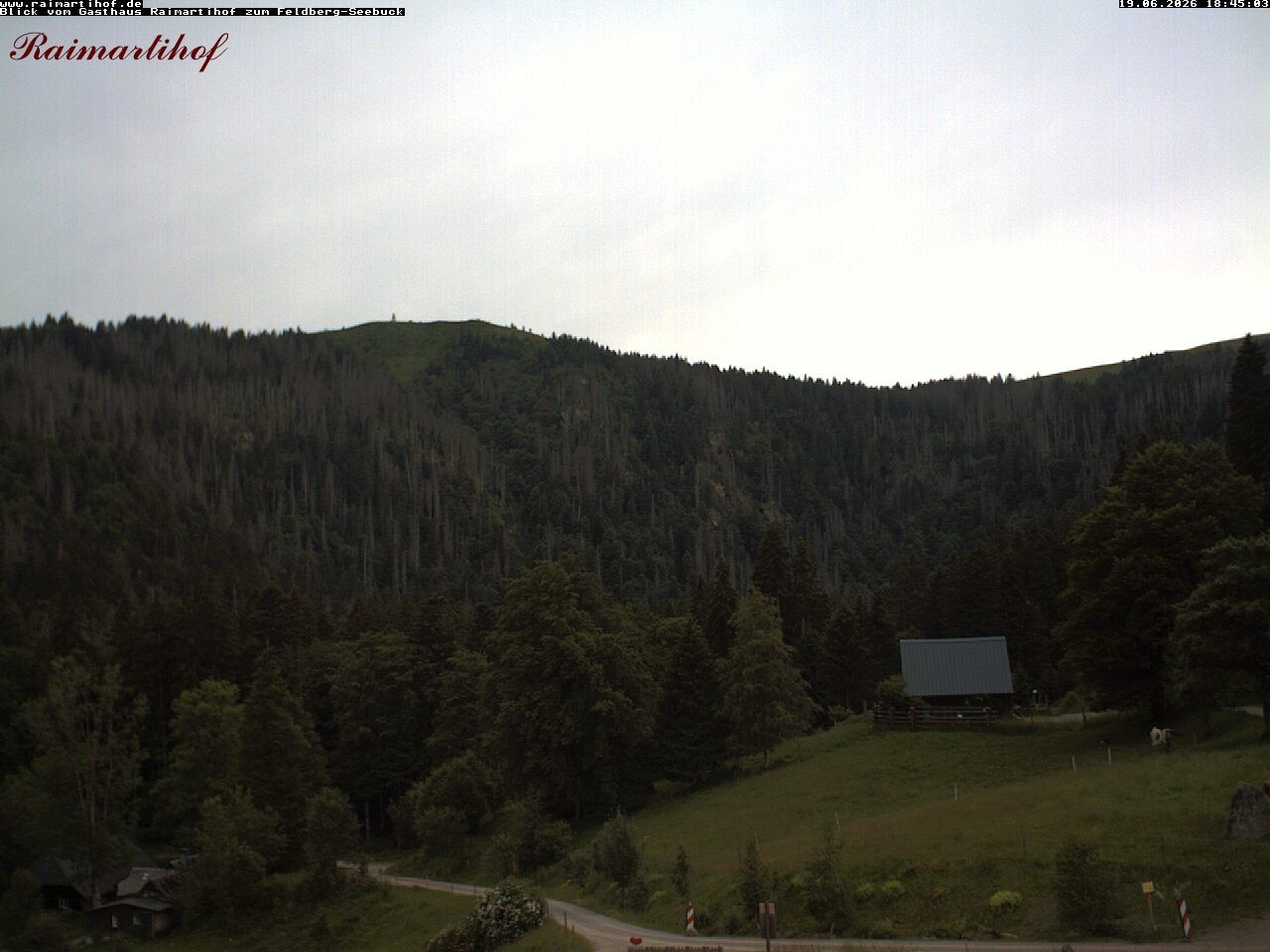 Archiv Foto Webcam Feldberg Raimartihof