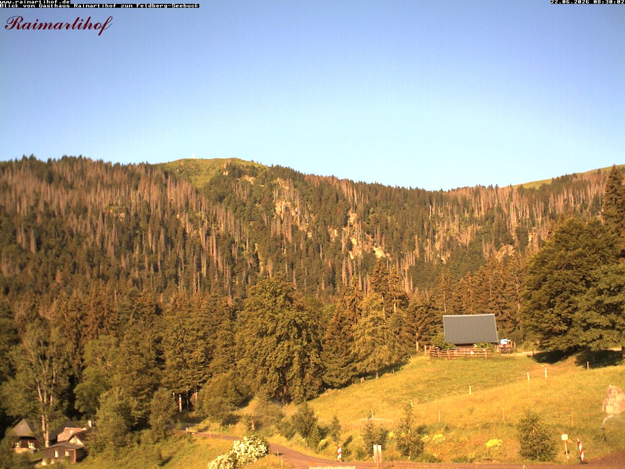 Archived image Webcam Raimartihof - Feldberg Seebuck