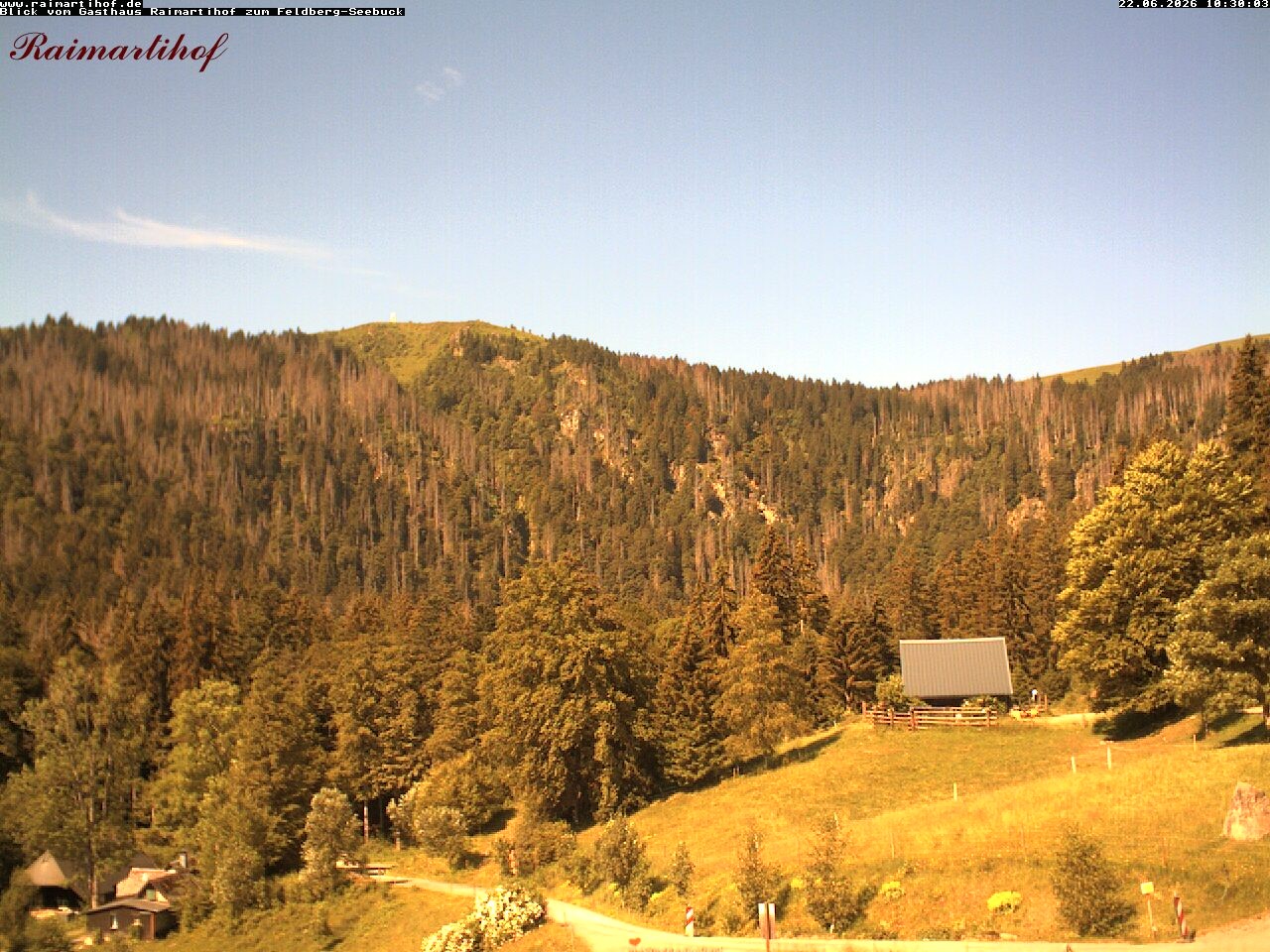 Archived image Webcam Raimartihof - Feldberg Seebuck