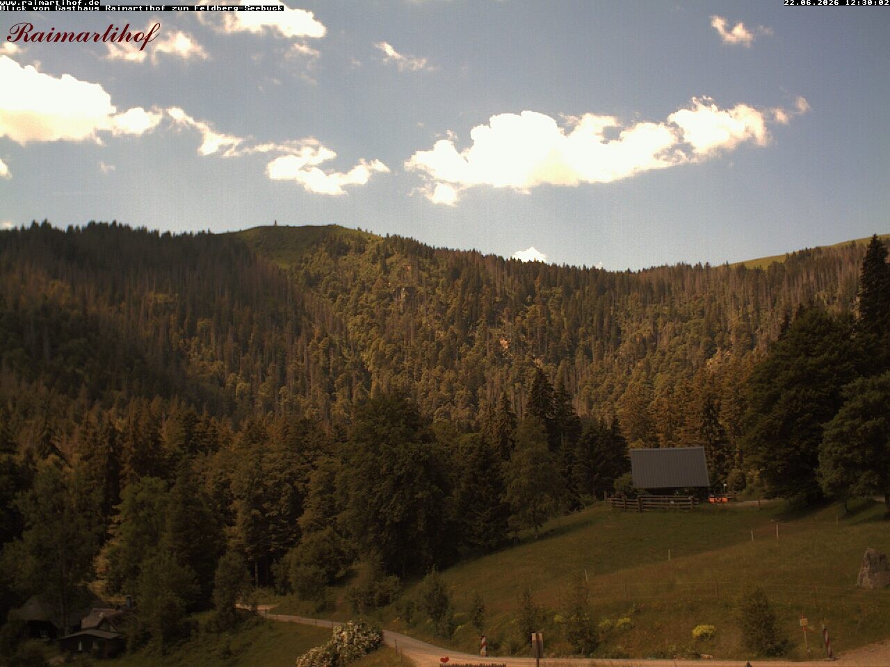 Archived image Webcam Raimartihof - Feldberg Seebuck