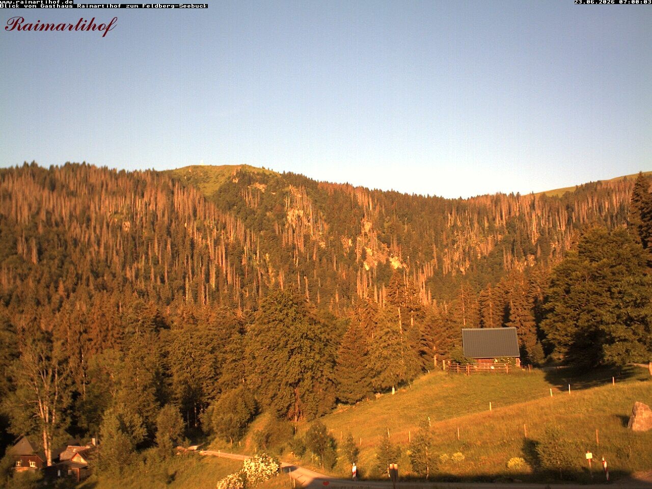 Archived image Webcam Raimartihof - Feldberg Seebuck
