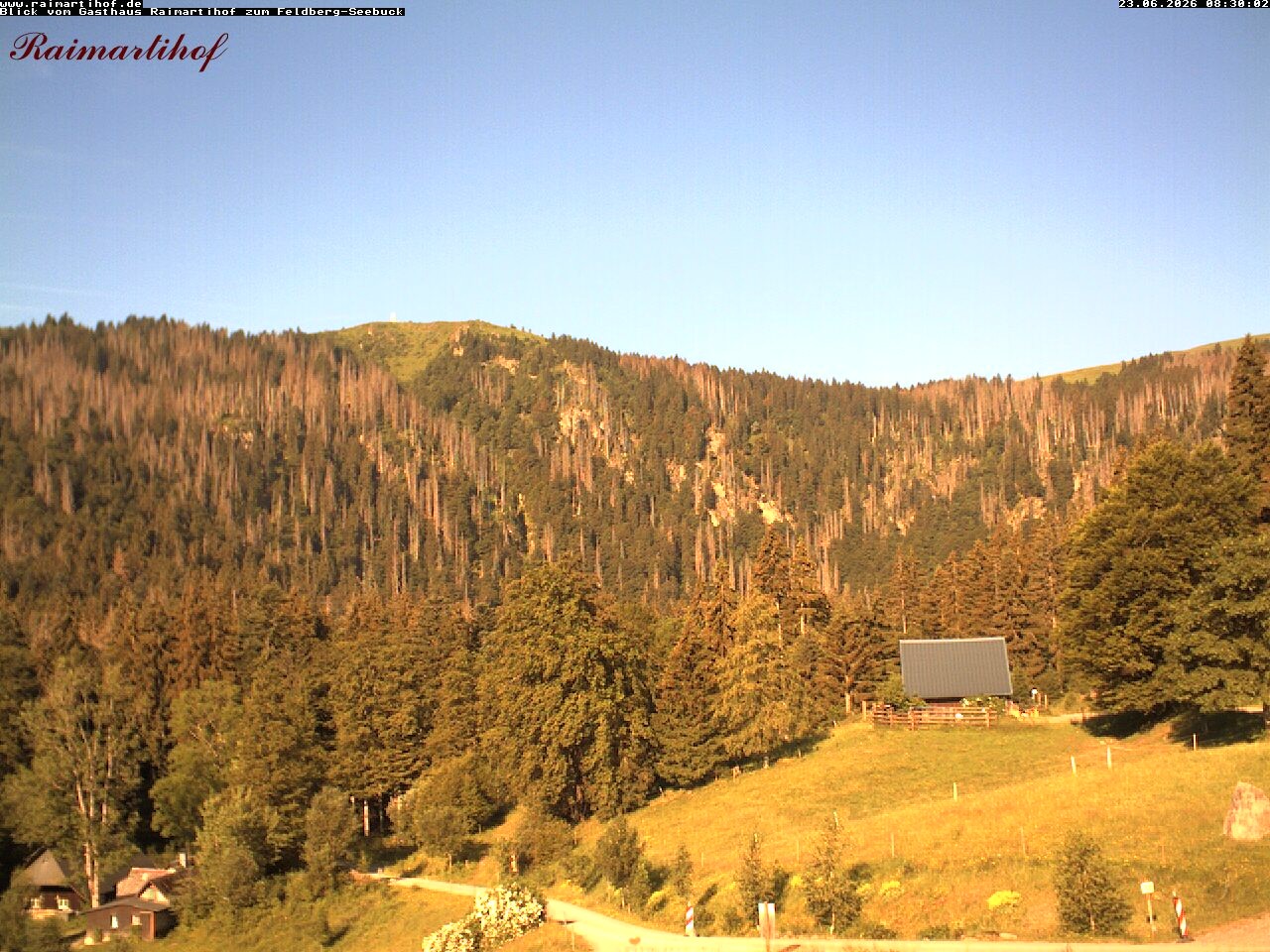 Archived image Webcam Raimartihof - Feldberg Seebuck