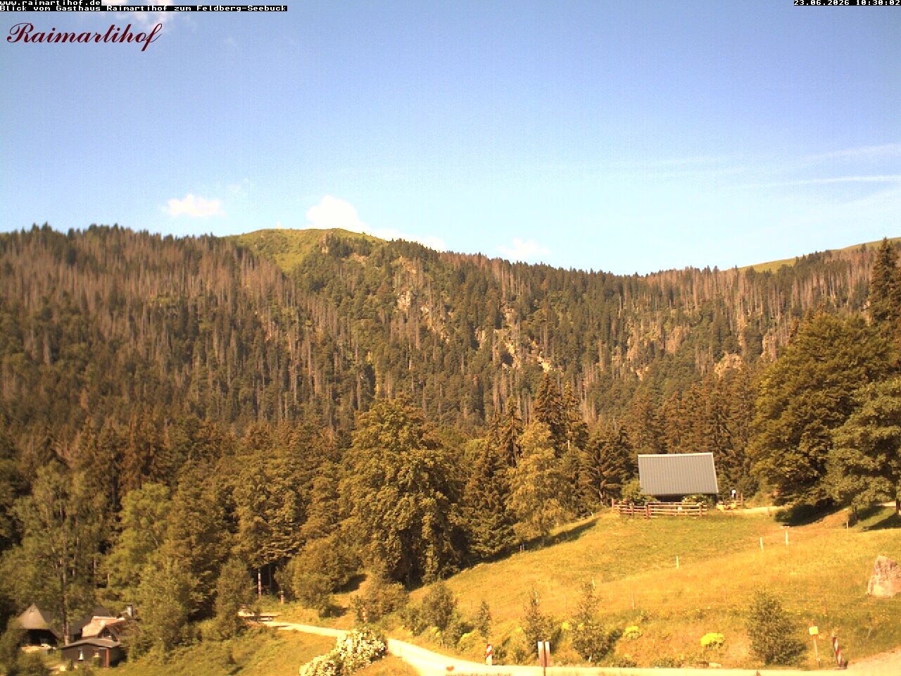 Archived image Webcam Raimartihof - Feldberg Seebuck