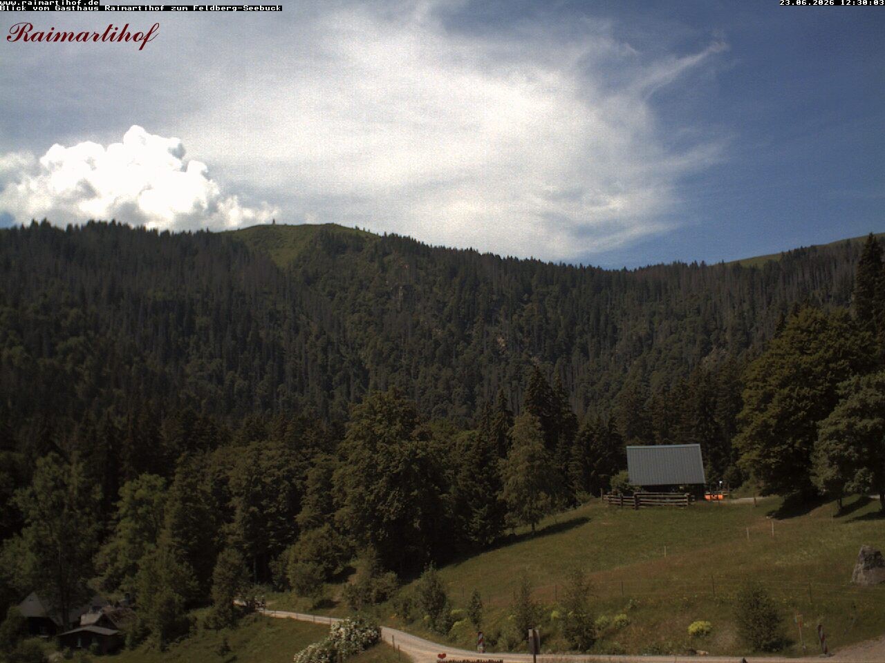 Archived image Webcam Raimartihof - Feldberg Seebuck