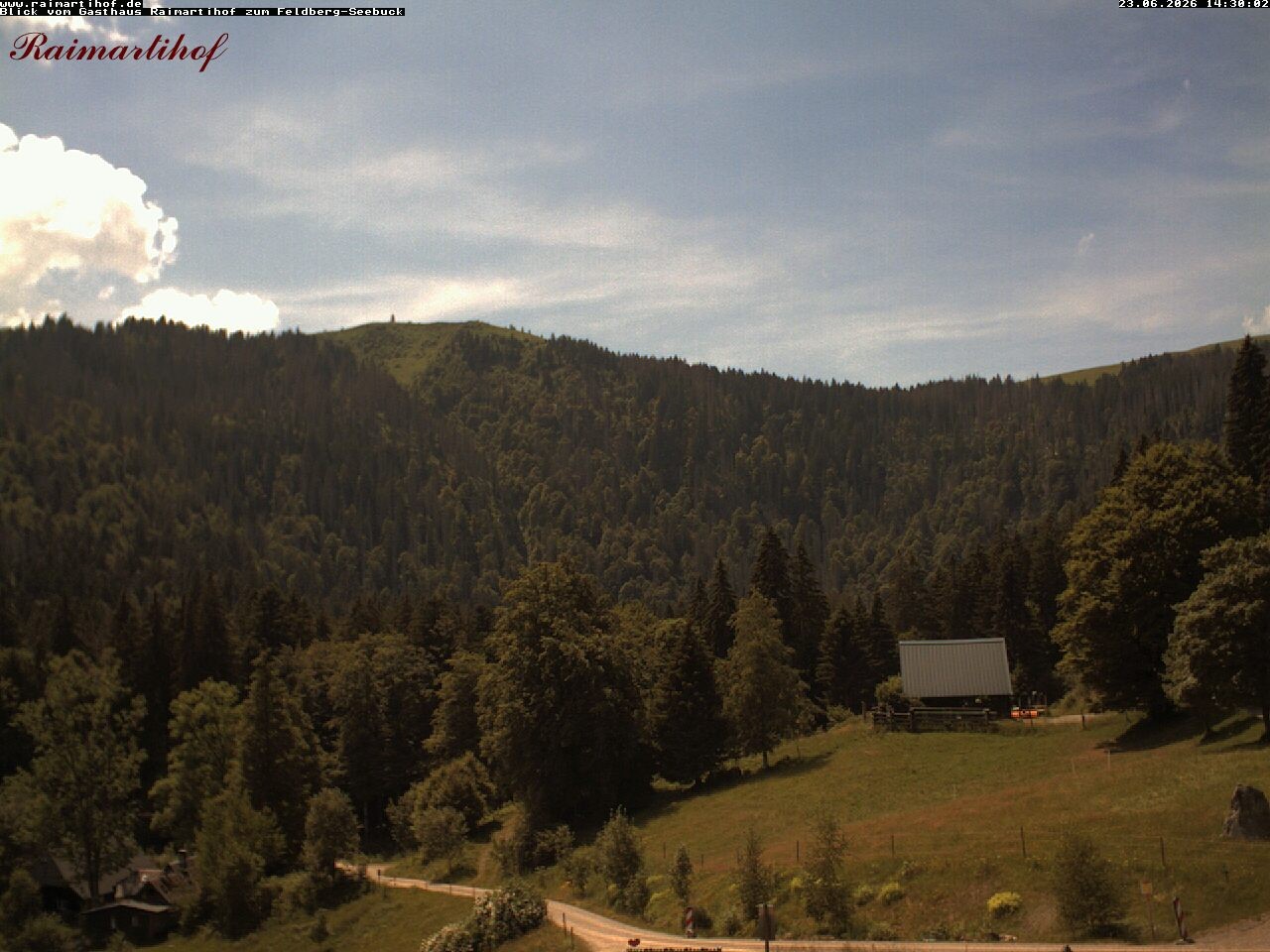 Archiv Foto Webcam Feldberg Raimartihof
