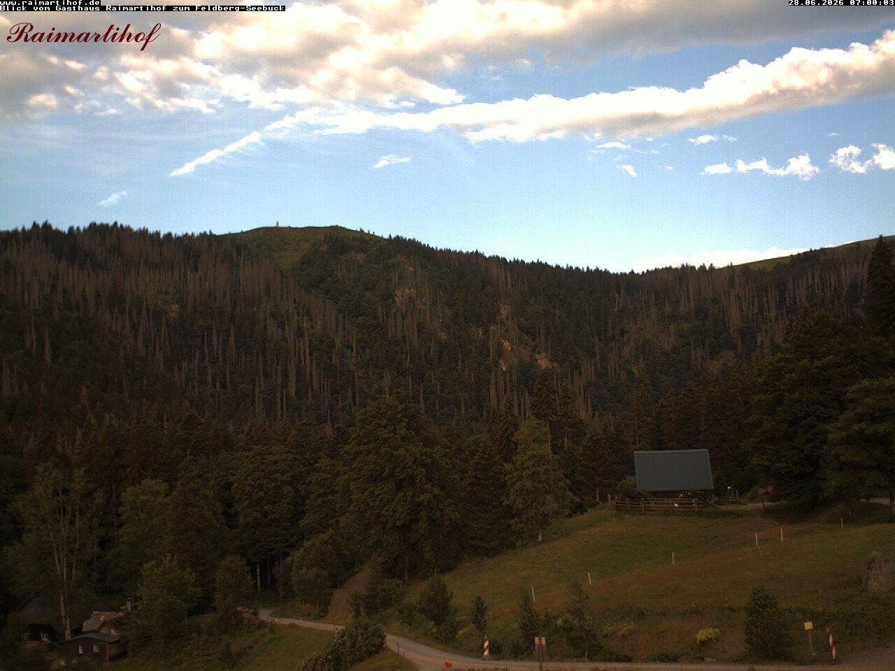 Archiv Foto Webcam Feldberg Raimartihof