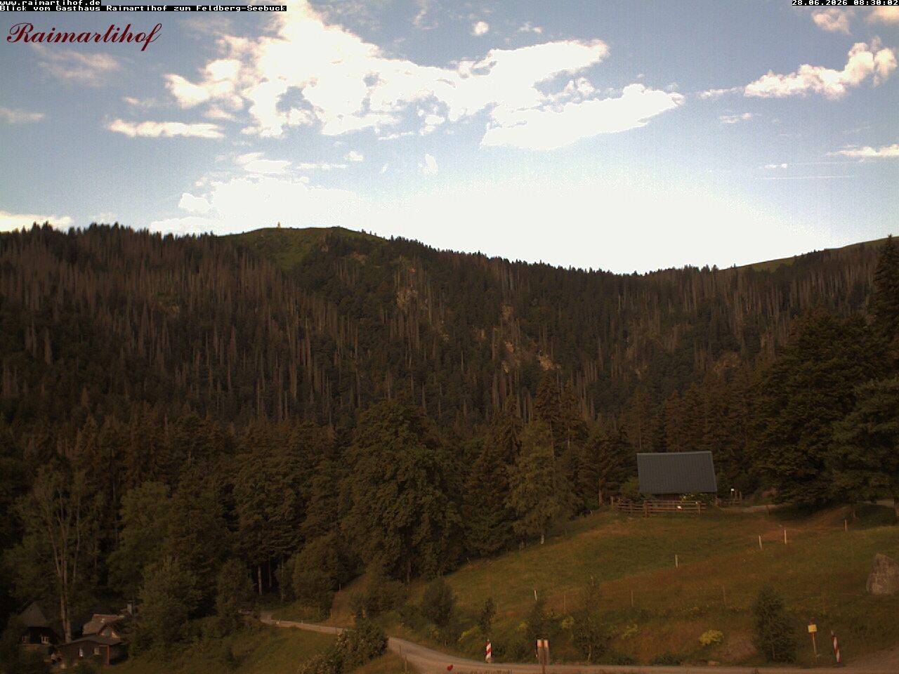 Archiv Foto Webcam Feldberg Raimartihof