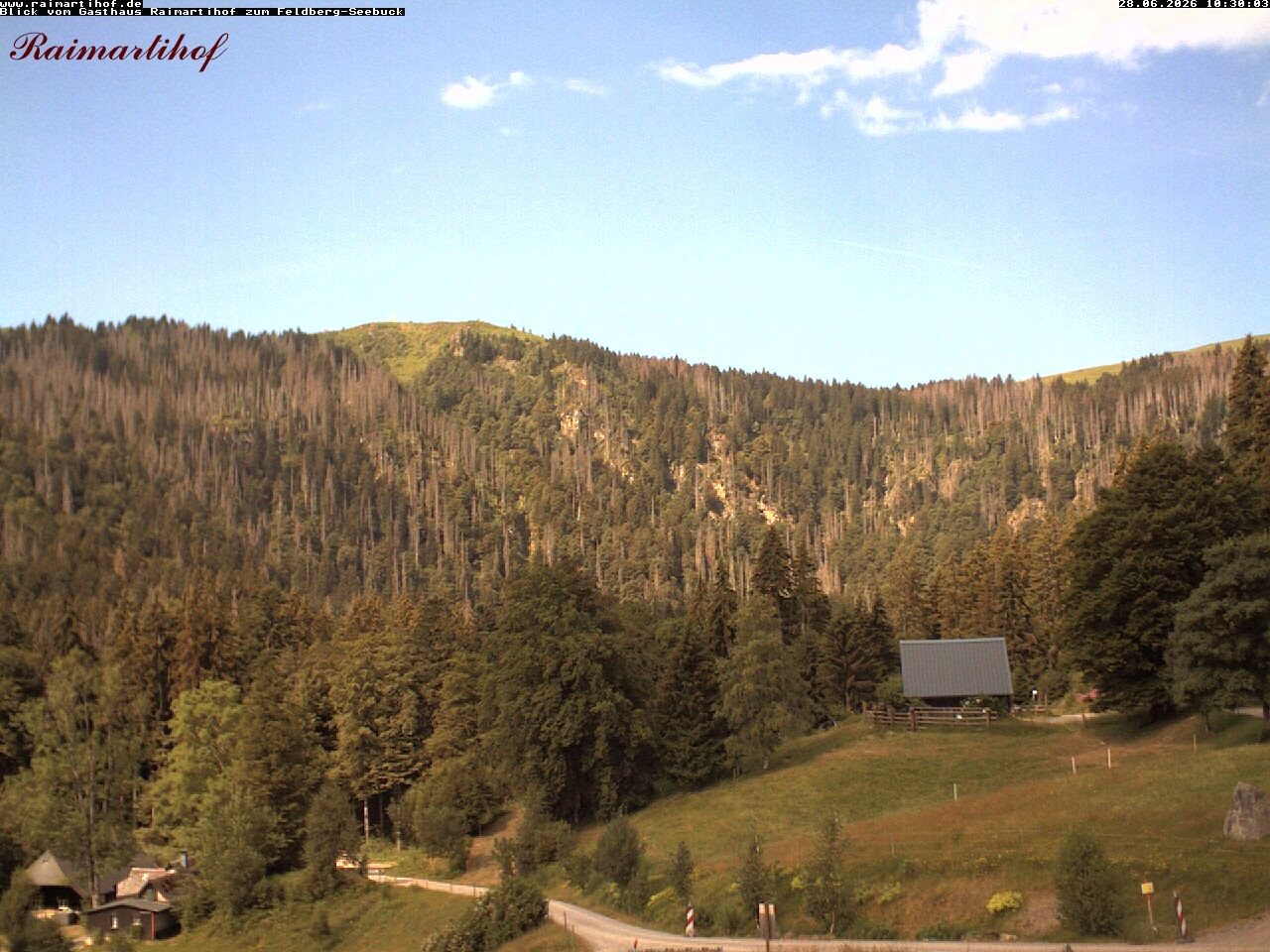 Archiv Foto Webcam Feldberg Raimartihof