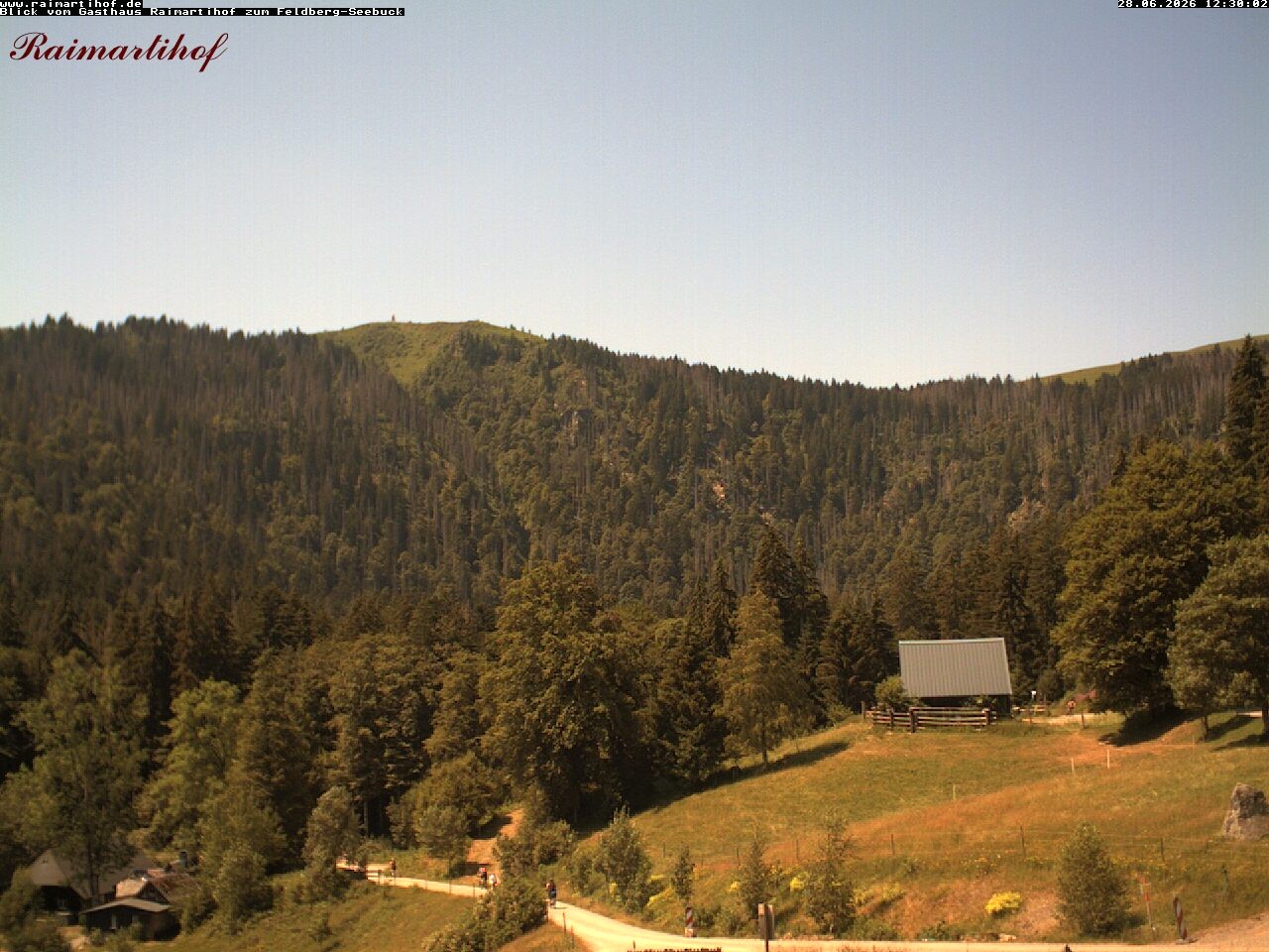 Archiv Foto Webcam Feldberg Raimartihof