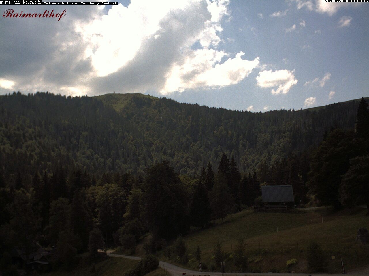 Archiv Foto Webcam Feldberg Raimartihof