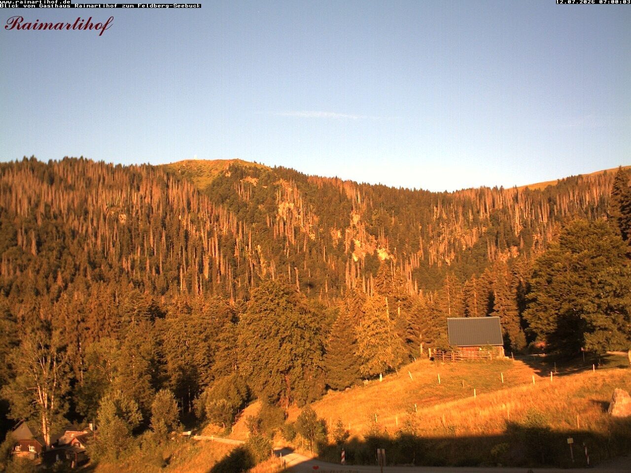 Archiv Foto Webcam Feldberg Raimartihof
