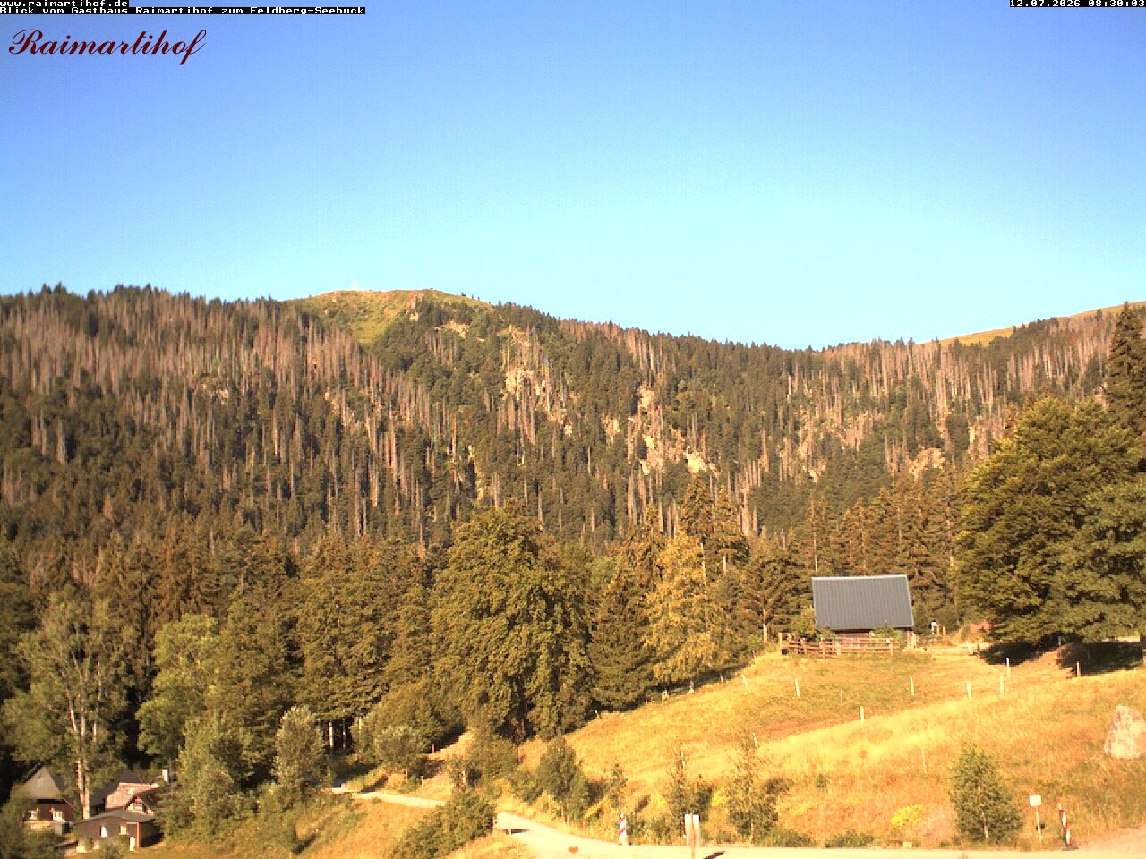 Archiv Foto Webcam Feldberg Raimartihof