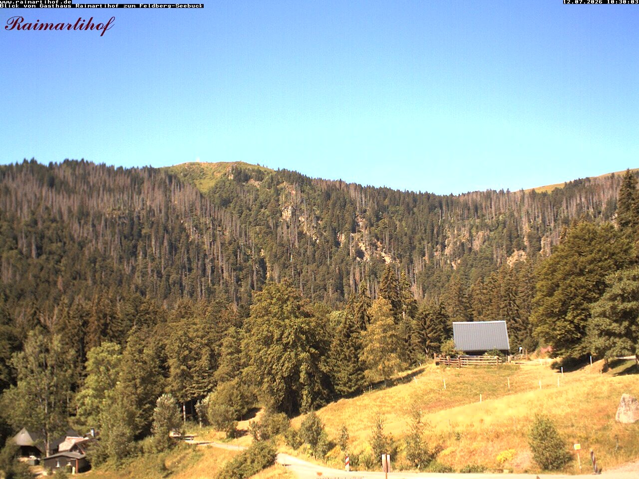 Archiv Foto Webcam Feldberg Raimartihof