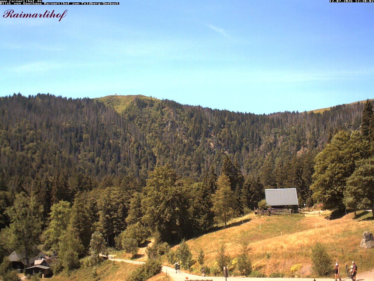 Archiv Foto Webcam Feldberg Raimartihof